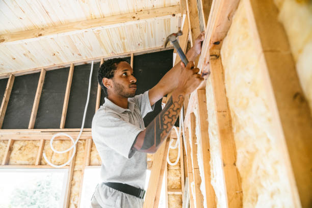 Best Insulation Contractor Near Me  in Sergeant Bluff, IA
